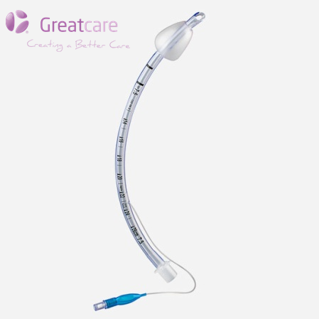 Endotracheal boru (lent növü)